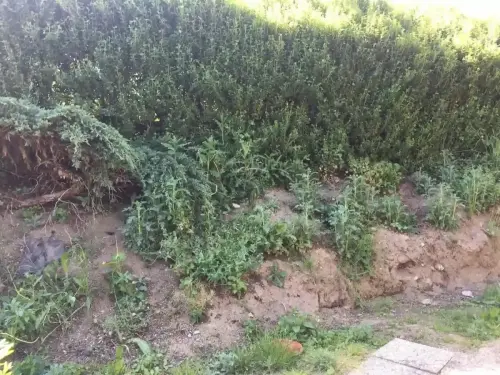 Výstavba zděného oplocení pozemku v obci Rtišovice